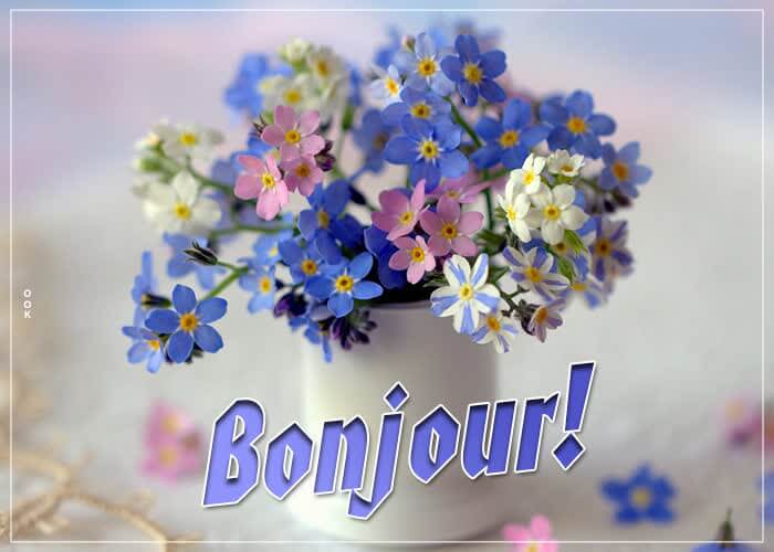 bonjour images animées gratuites avec belle fleur blanche et bleue