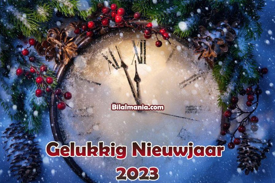 Ik wens u een vreugdevol 2023! Mogen al je dromen uitkomen dit nieuwe jaar.