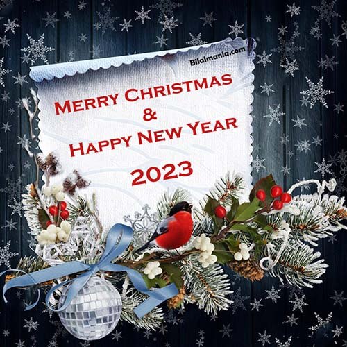 Christmas and New Year still life for year 2023