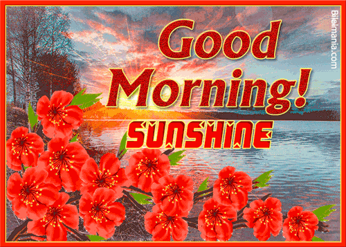 Good Morning Sunshine Gif