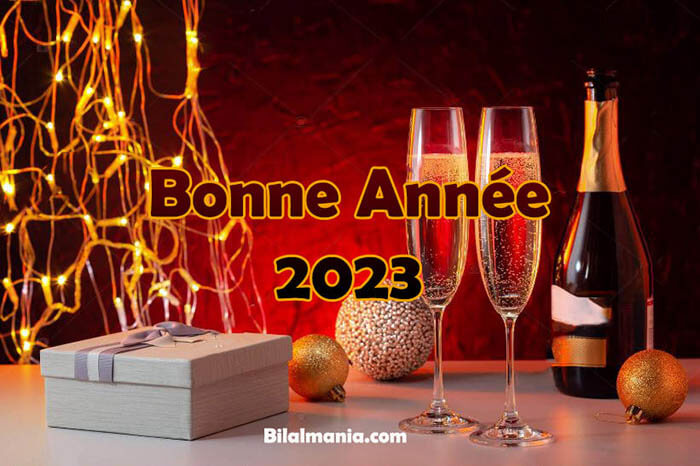 Joyeux NoÃ«l et Bonne AnnÃ©e 2023