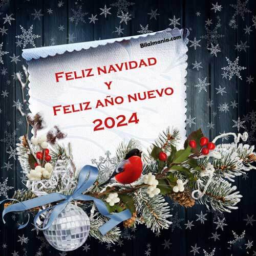 Feliz Navidad y Feliz Año Nuevo 2024