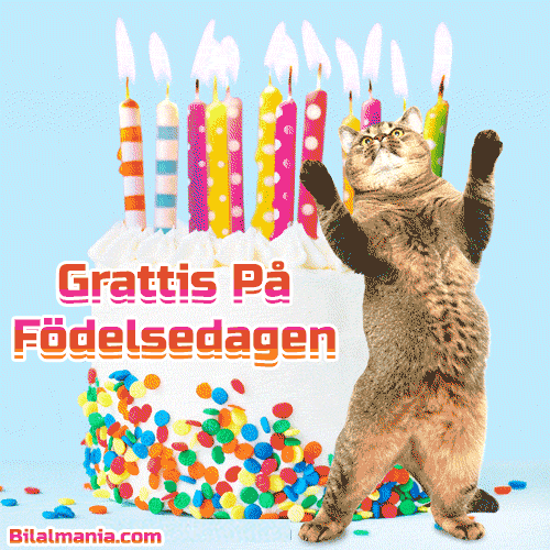 Grattis på födelsedagen! Ladda ner den nya GIF:en födelsedagstårta och dansande katt.