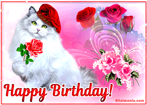 Happy Birthday Cat Gif