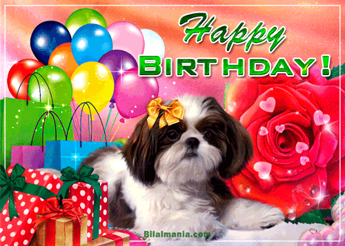 Happy Birthday Dog Gif