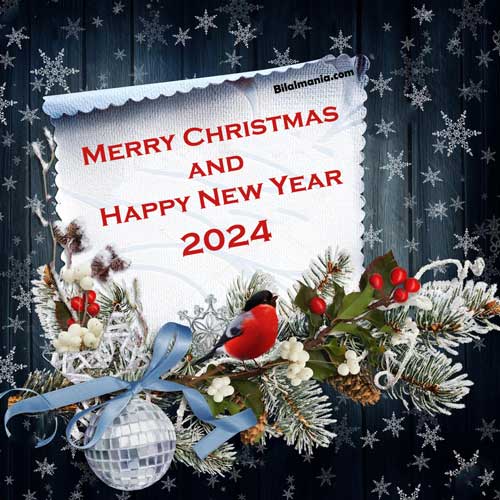 Merry Christmas and Happy New Year 2024 Image