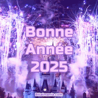 Bonne Année 2025 gif feu d'artifice